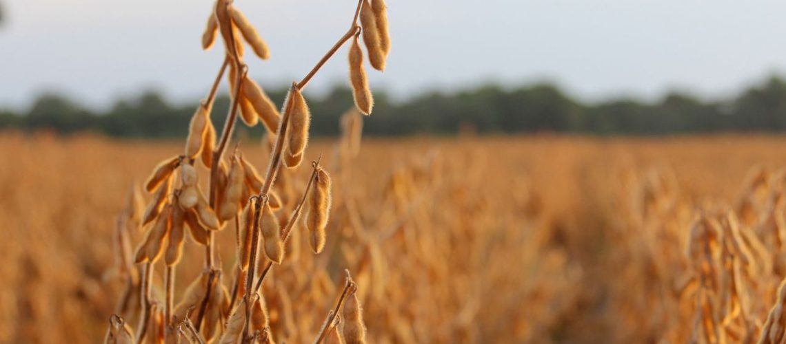 moratoria-da-soja-mato-grosso