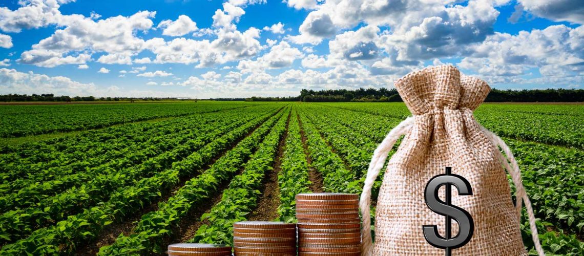 mt-agro-agronegocio-investimento-bilionarios