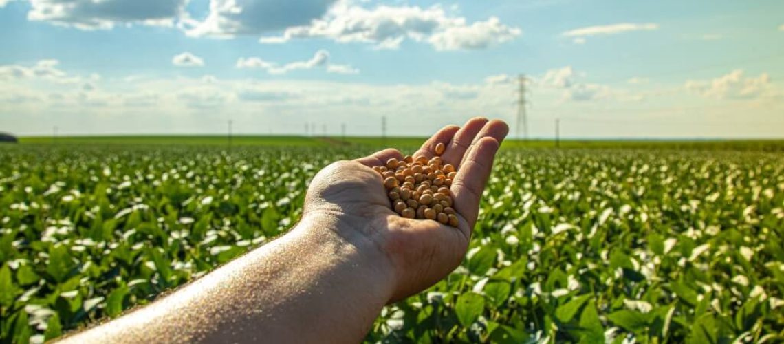 o-que-e-agricultura-regenerativa-lavoura-de-soja