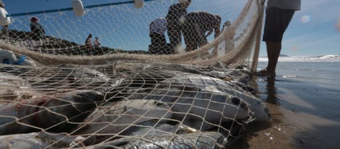 pesca_pescador_tainha_20200924_1125750310