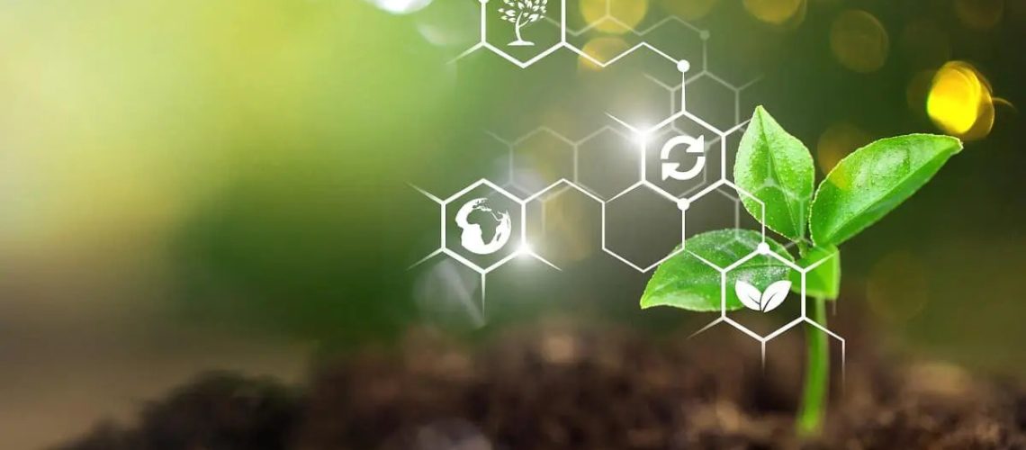 planta-bioinsumos-biologicos