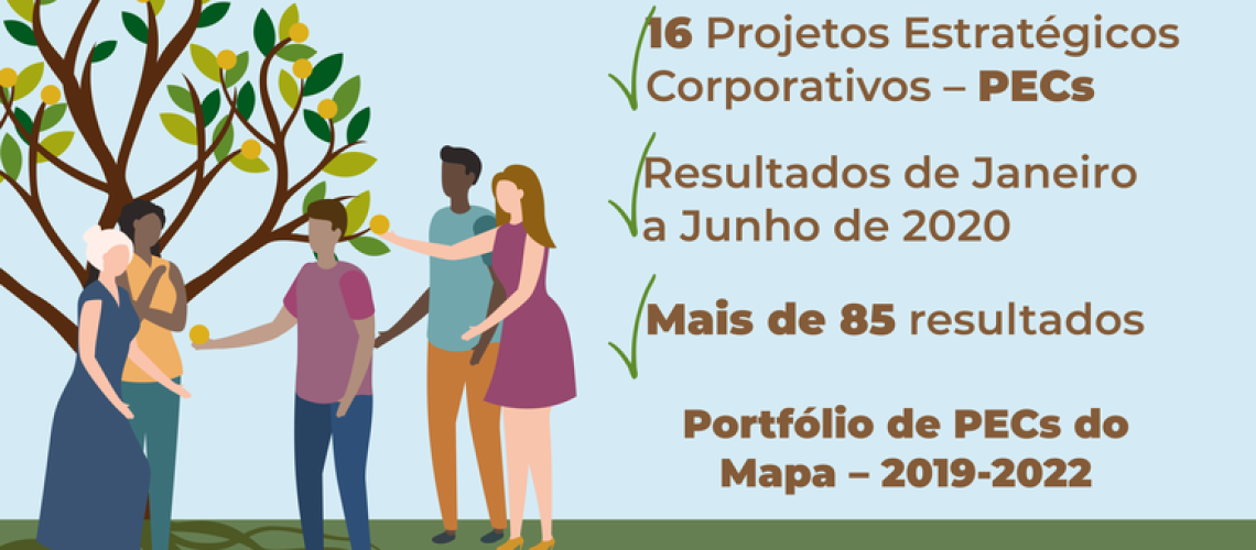 portifólio