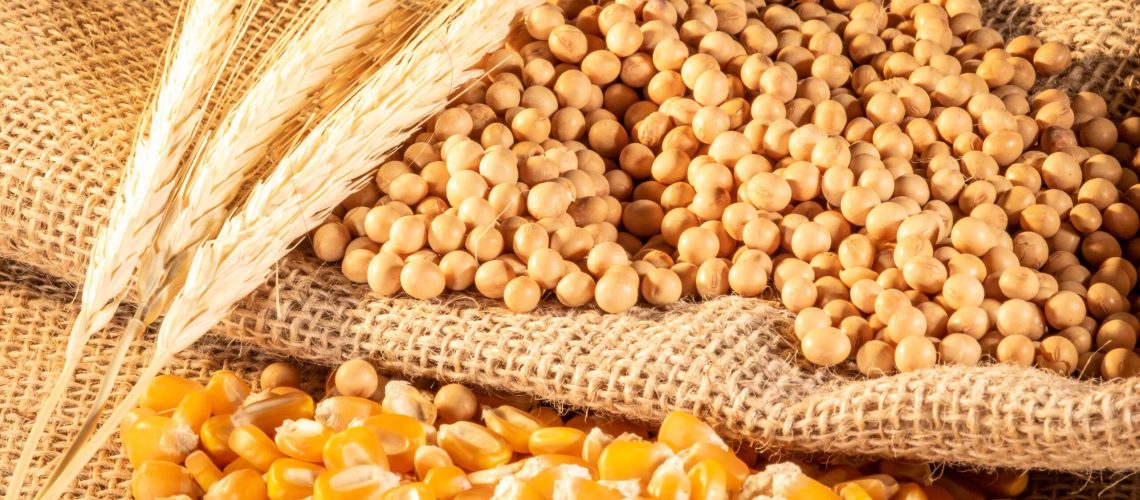 producao-de-graos-no-brasil