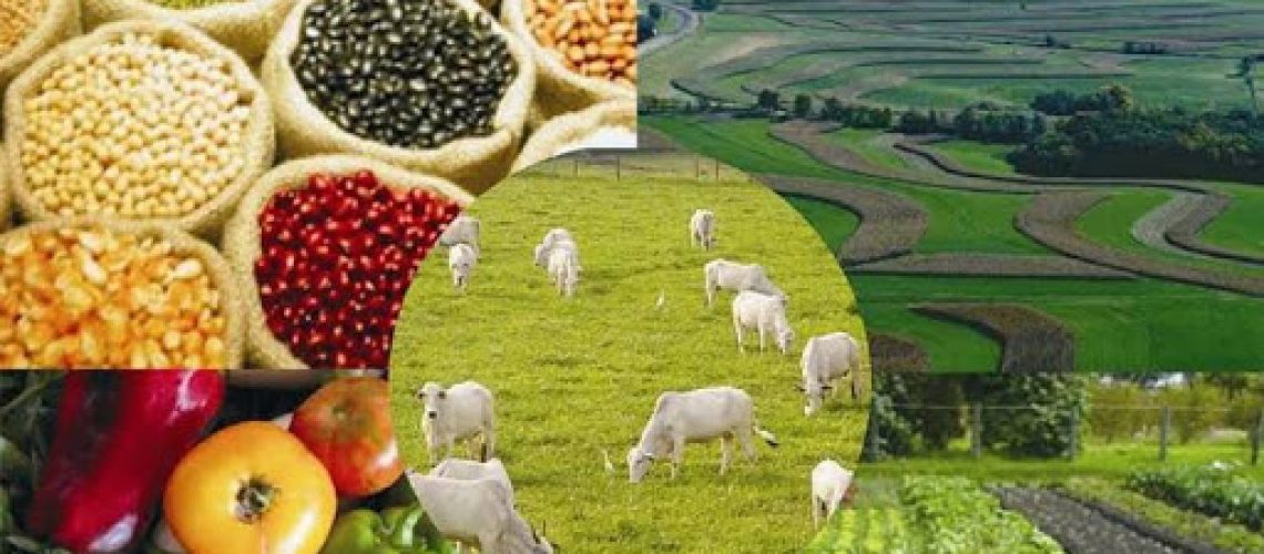 produção