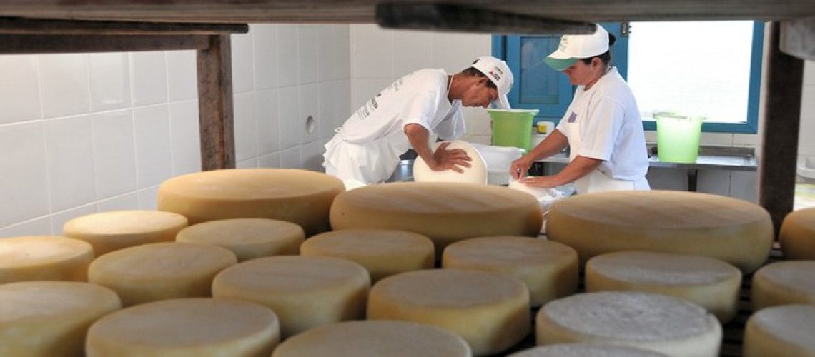 queijo artesanal