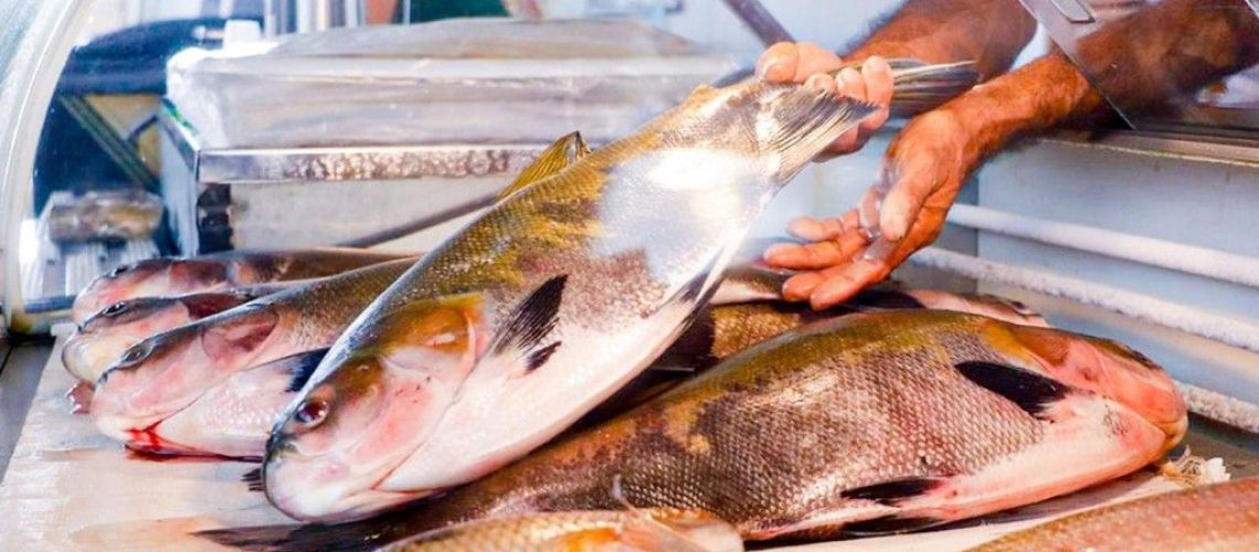 saiba-quais-sao-as-recomendacoes-sobre-o-consumo-de-pescados-na-semana-santa-67ff9d93dd4ba