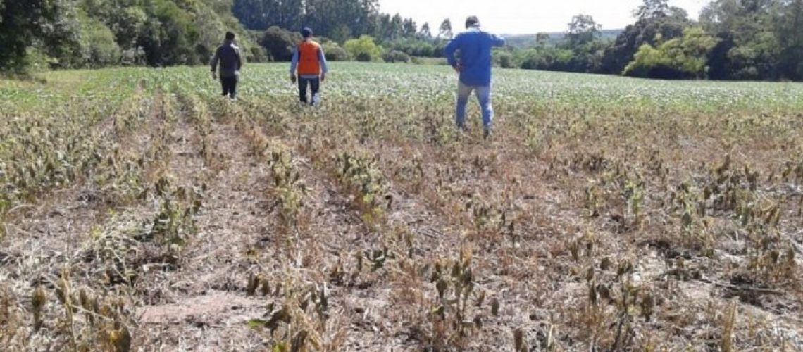 seca-RGS_ceoagro