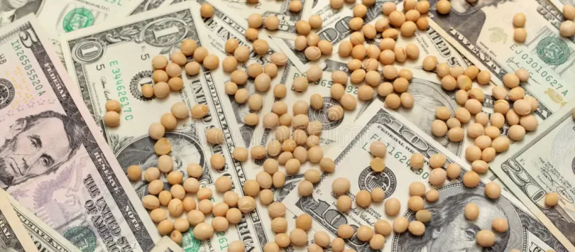 soja-e-dinheiro-17120834