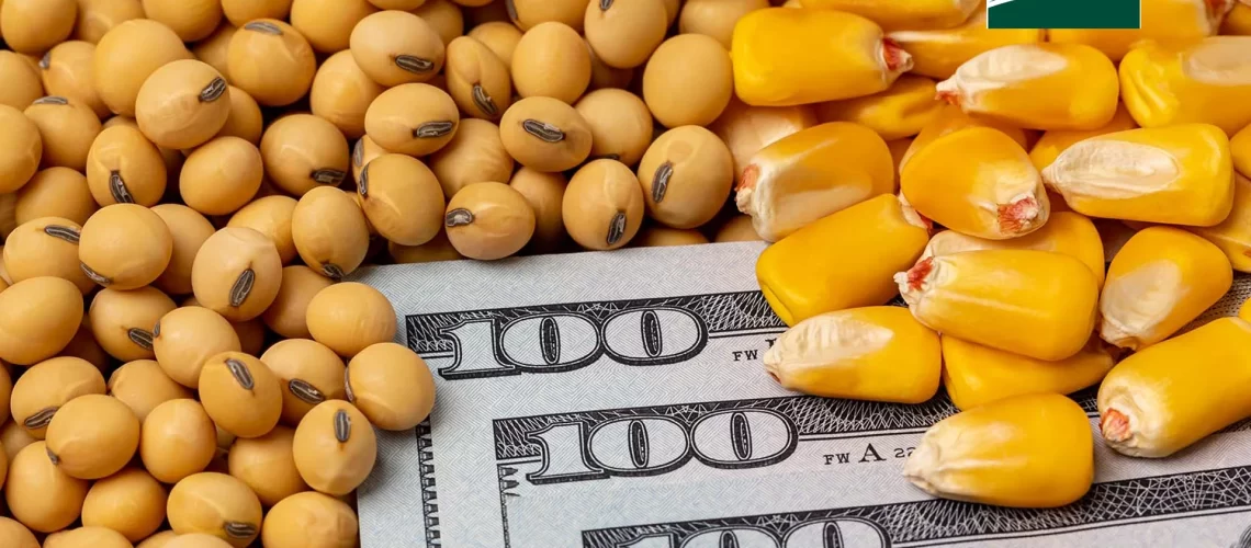 soja-e-milho-usda-QYZkt
