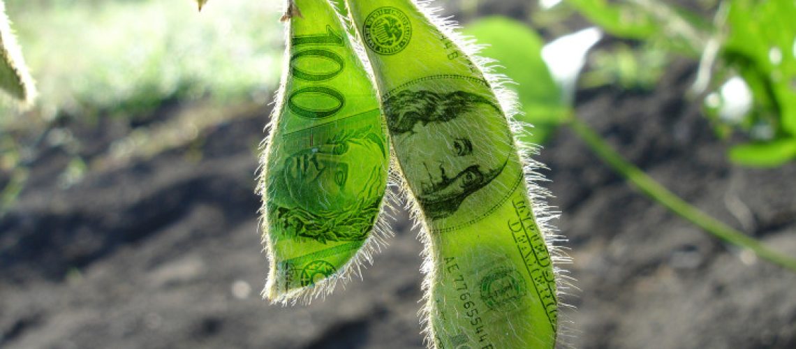 soja-real-dolar-735x400
