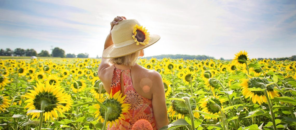 sunflowers-3640935_1920