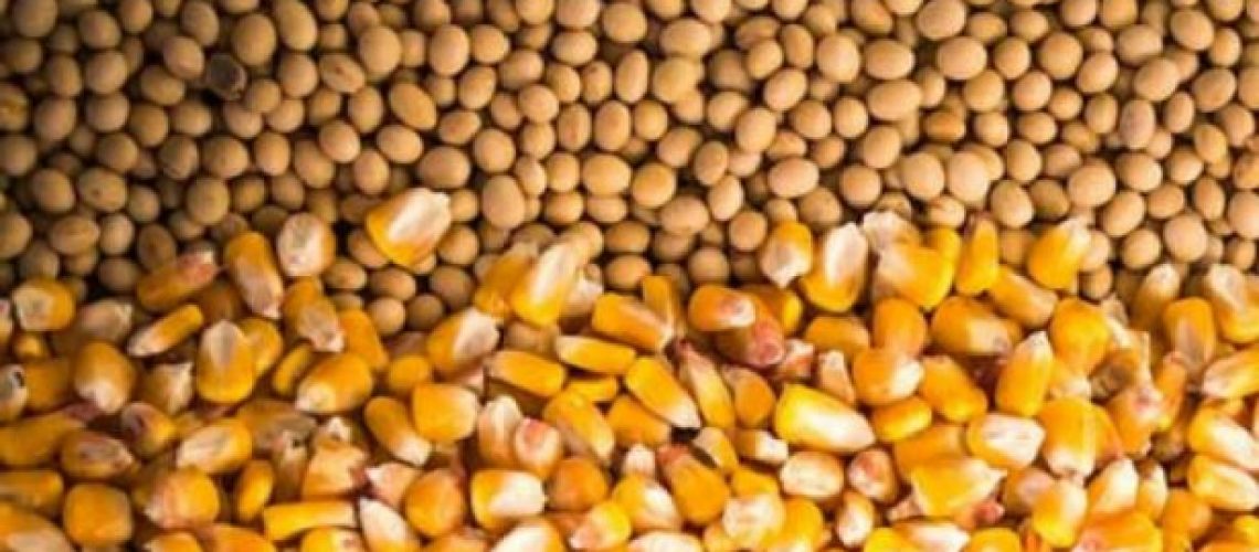 tecologia p grãos