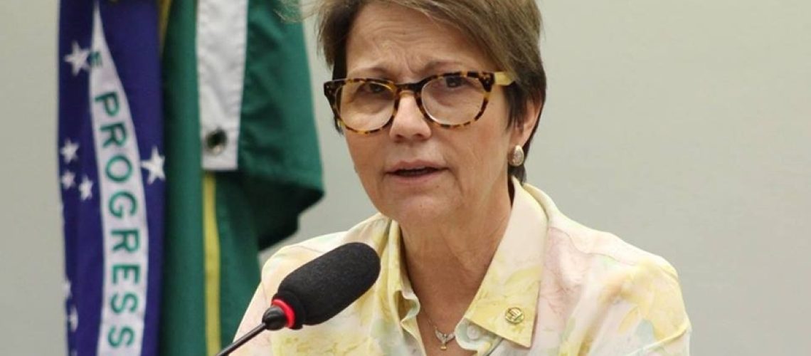 tereza-cristina