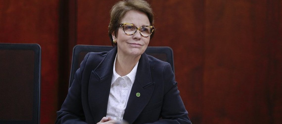 tereza