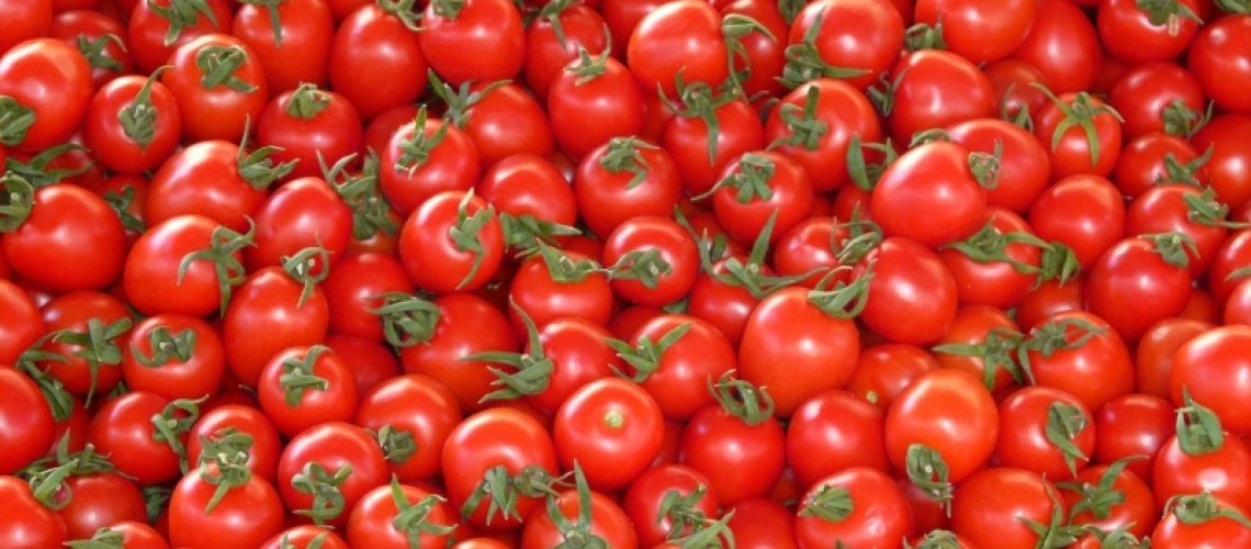 tomate