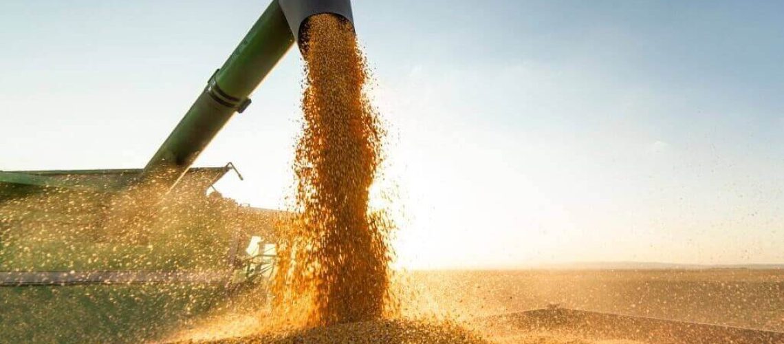 transporte-da-soja-imagem-destacada-1025x675