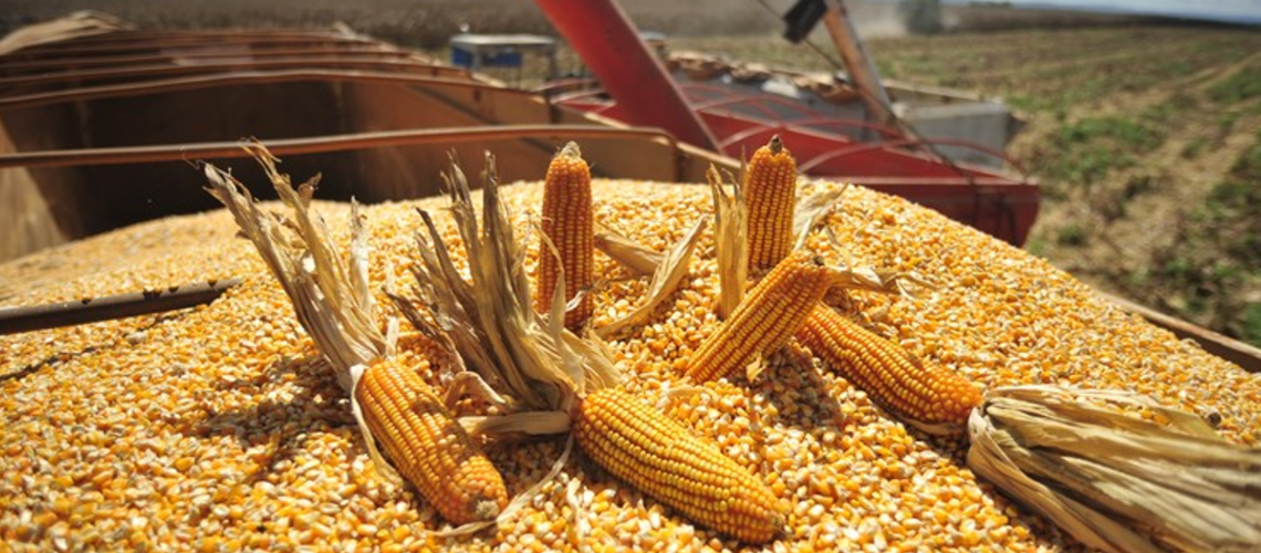 transporte-de-graos-1200x500