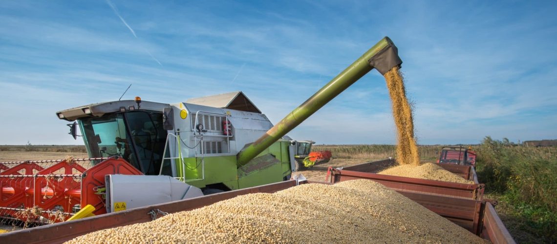 transporte-de-graos-carregamento-de-caminhao-scaled-1