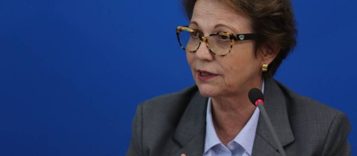 xtereza.jpg.pagespeed.ic.BvFlbXHPai